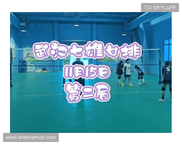 武汉排球队比赛经验的创新与变革引发热议