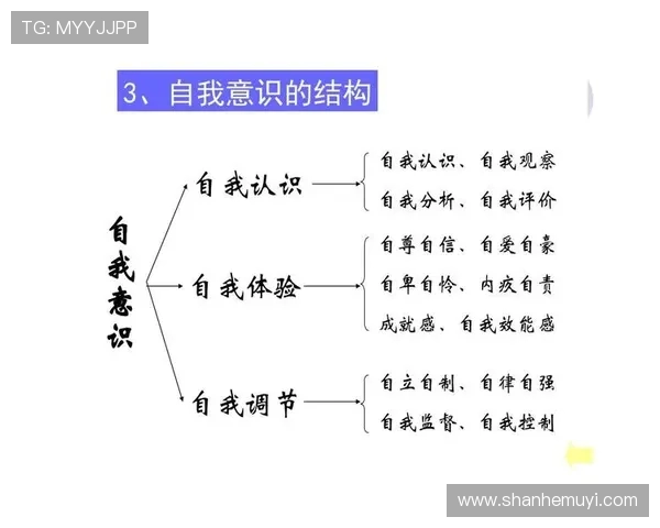 武汉网球队意识对比分析:从战术到心理的全面解读与探讨
