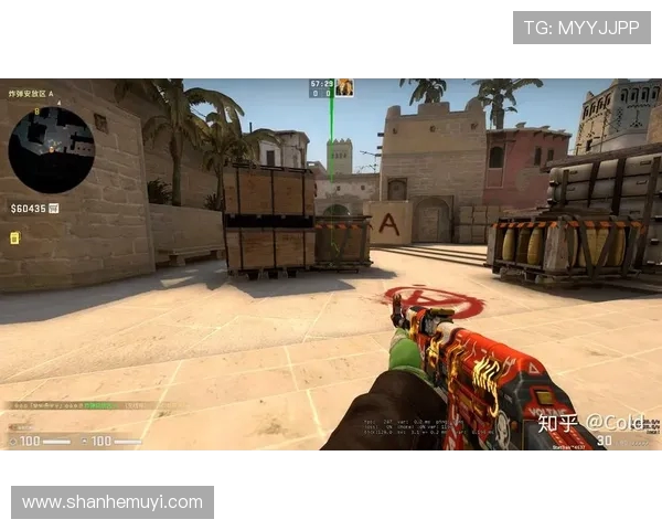 CSGO战术分析：深入探讨WE战队的防守策略与执行细节