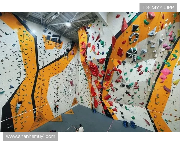 攀岩战术解析上海攀岩队独特包夹体系的应用与优势探讨